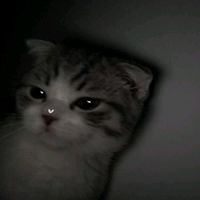 hazzzuki