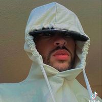 badbunny.fansyhlqmdlg