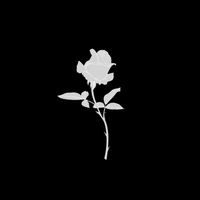 deadlyaine