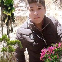 danielwilliamcondori