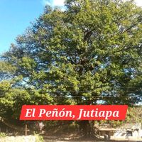 elpenonjutiapa2.0