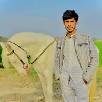 original sound - hassan_ahmad24