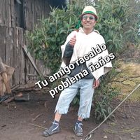 sonido original