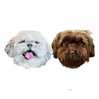 original sound - spencerandchewy