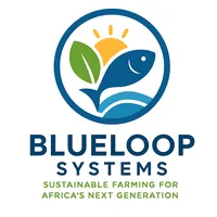 original sound - blueloopsystems