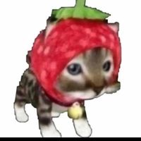 finding.tiktok.songs_