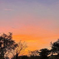 เสียงต้นฉบับ - musicforyouu