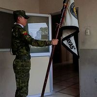 titog528
