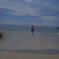 padis_11