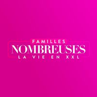 famillesnombreuses_tf1