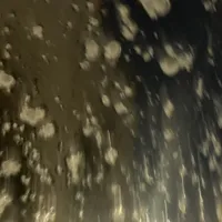 original sound - speed_songs1111