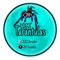 m_n_t_tarantulas