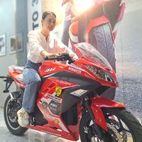 3sebike