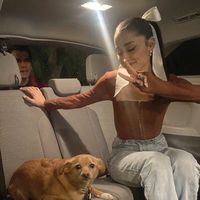 arianqstans
