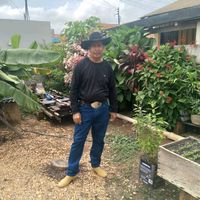 arlindo.jose7