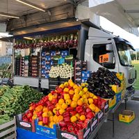 ilmaestrodellafrutta