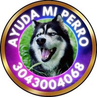 ayudamiperro