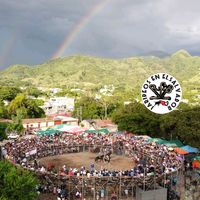 jaripeo.bonilla
