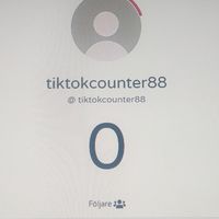 tiktokcounter88