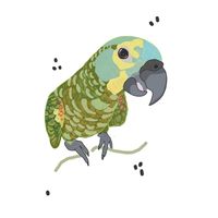 rafinhapontes_