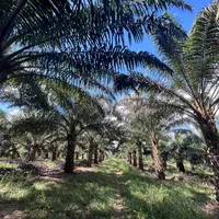 original sound - abdur.r_146