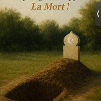 amayelsallamadou4132