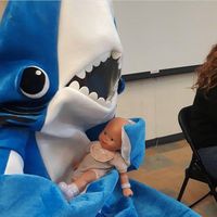 right.sharkie