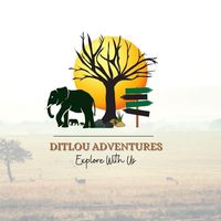 ditlou_adventures