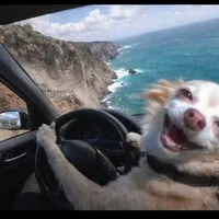 Use my sound hashtag me do I can see the vid