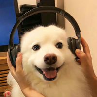 golden.book.house.041