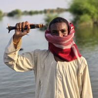 الصوت الأصلي