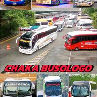 chaka.busologo