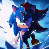 sonic.508