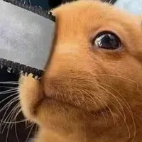 original sound - dxng_itt