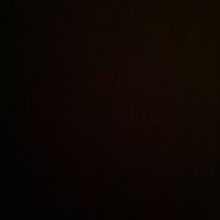 yadid_yt