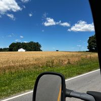 theofficaljmarshall9197