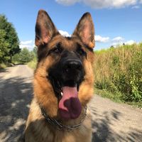 _zlamanym.sercem.abi_