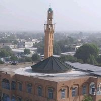 mamar_brani