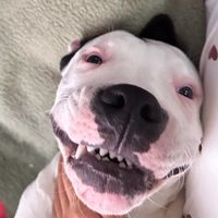 rufus.trufus