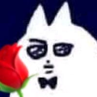 an_zzzss