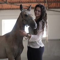 vidaconsalero