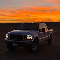 landyngilmore14