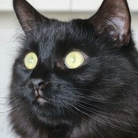 Lose Control by Missy Elliott