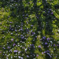 seasonal_.sensations