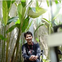 original sound - Ersad Alawi