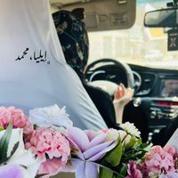 ily_elkhlfaoui