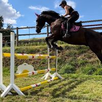 equestrian.condiro