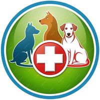 vet_apteka_shymkent01