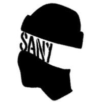 sanydsm