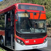 busologo_oficial